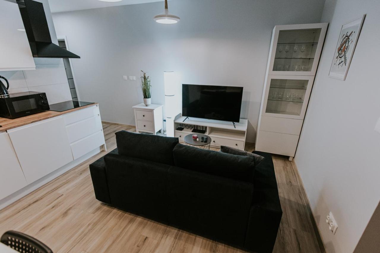 Zapomniany Zdroj Apartment Glucholazy Bagian luar foto